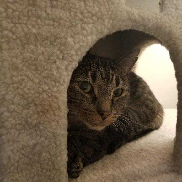 Meet your Posher, Pamela 🩷🥞 - Picture 8 of 13